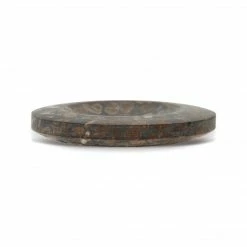 Dritz Recycled Coconut Round Button, Brown, 2 Pc